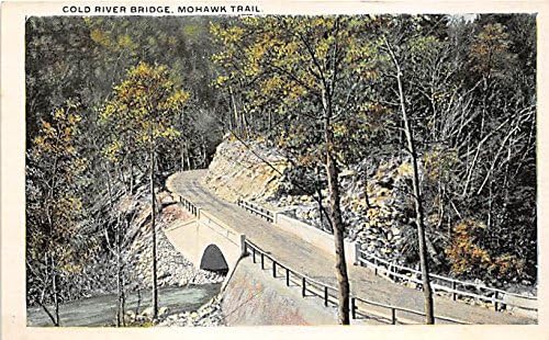 Mohawk Trail, New York Postcard