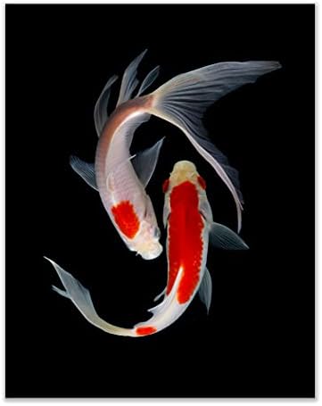 Imprimeuri de pânză de cristal imprimeuri de pește koi - set de 4 inci lucioase monocromatice portocaliu negru animal alb minimalist