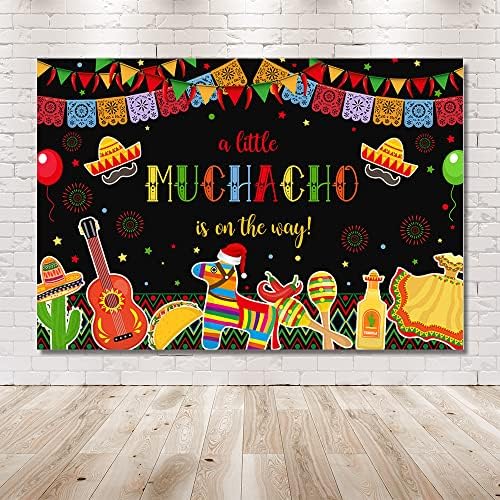 MEHOFOND Fiesta Boy Baby Shower fundal Mexican un pic Muchacho este pe drum Cactus Cinco Mayo Taco fotografie fundal Feliz