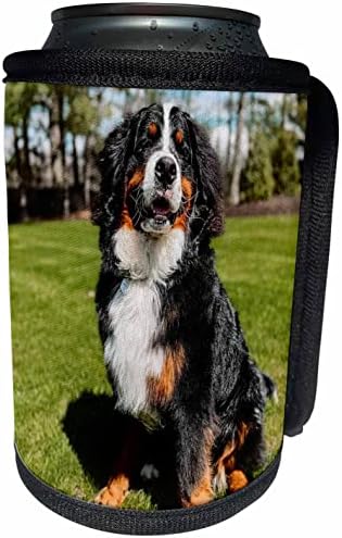 3Drose Tory Anne Collections Dogs - Dute Bernese Mountain Dog - Can Cooler Bottle Wrap