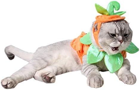 Leowow Pet Pet Accesorii de Halloween pentru câini mici pisici Halloween Pumpkin Costume